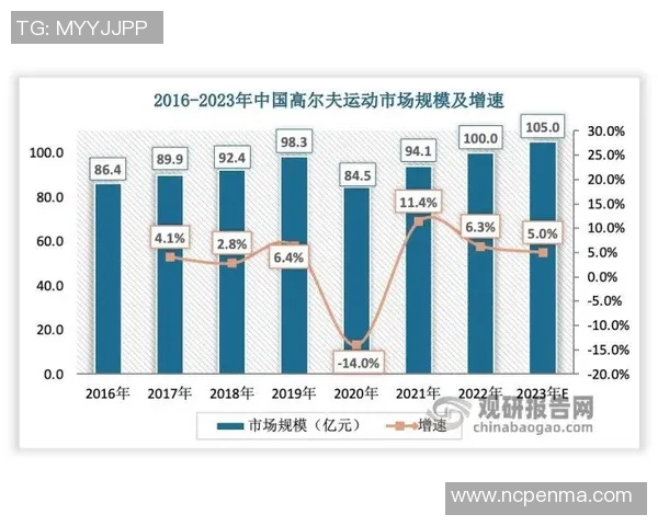 广州羽毛球队个人能力深度解析与发展探讨